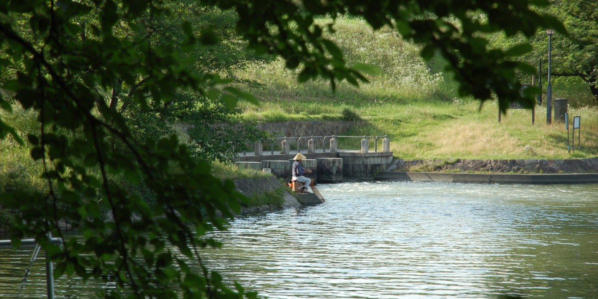 酒津公園に行ってきました