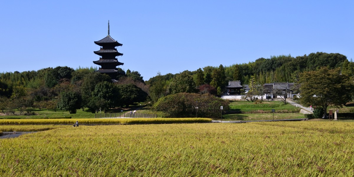 秋の吉備路と備中国分寺五重塔